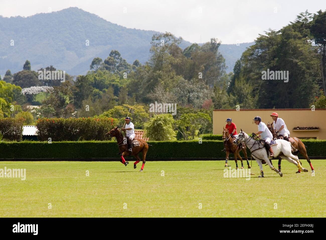 Polo-Spieler spielen ein Polo-Spiel Stockfoto