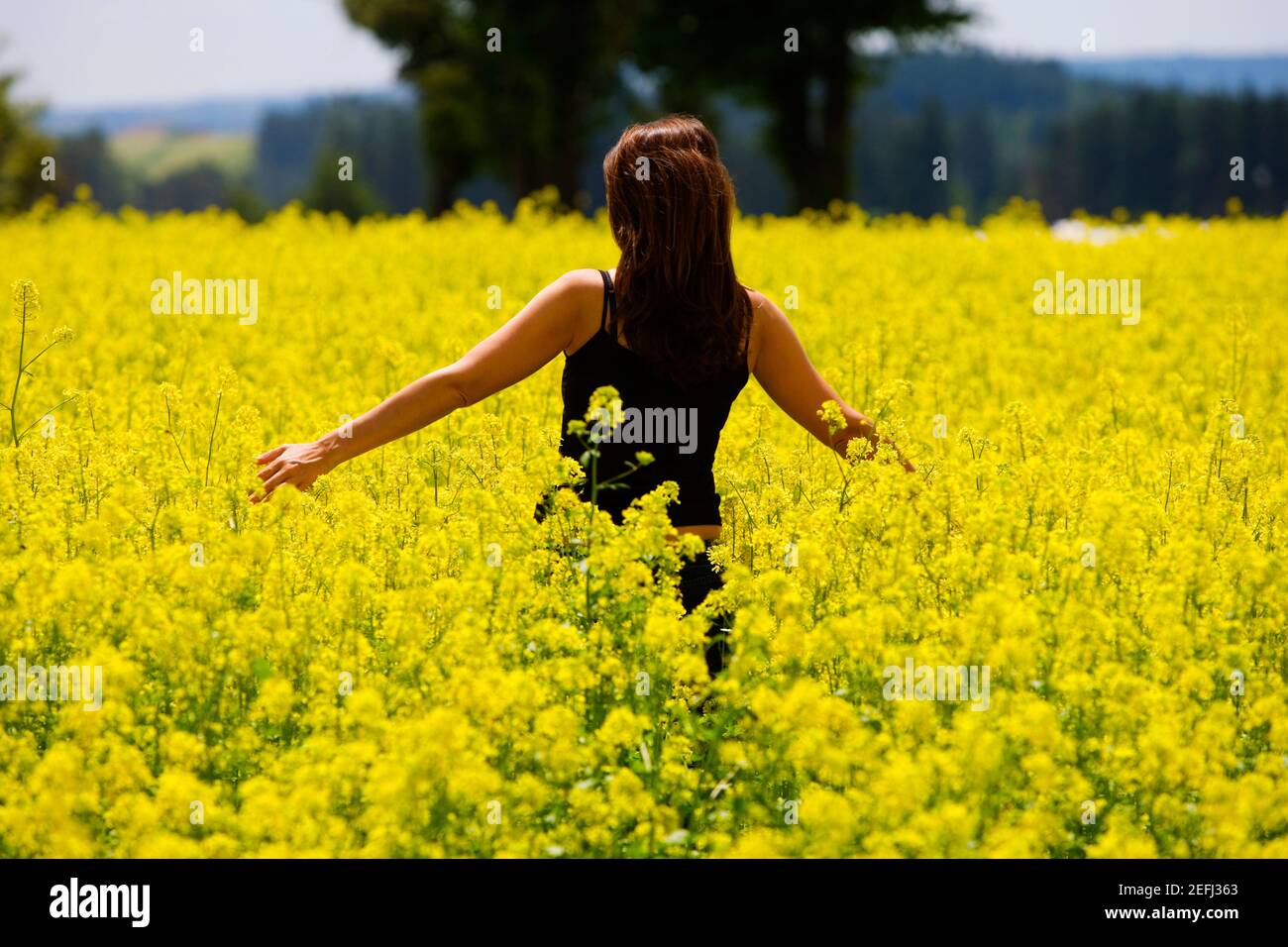 Rückansicht einer jungen Frau, die in einem Feld, Tschechische Republik Stockfoto