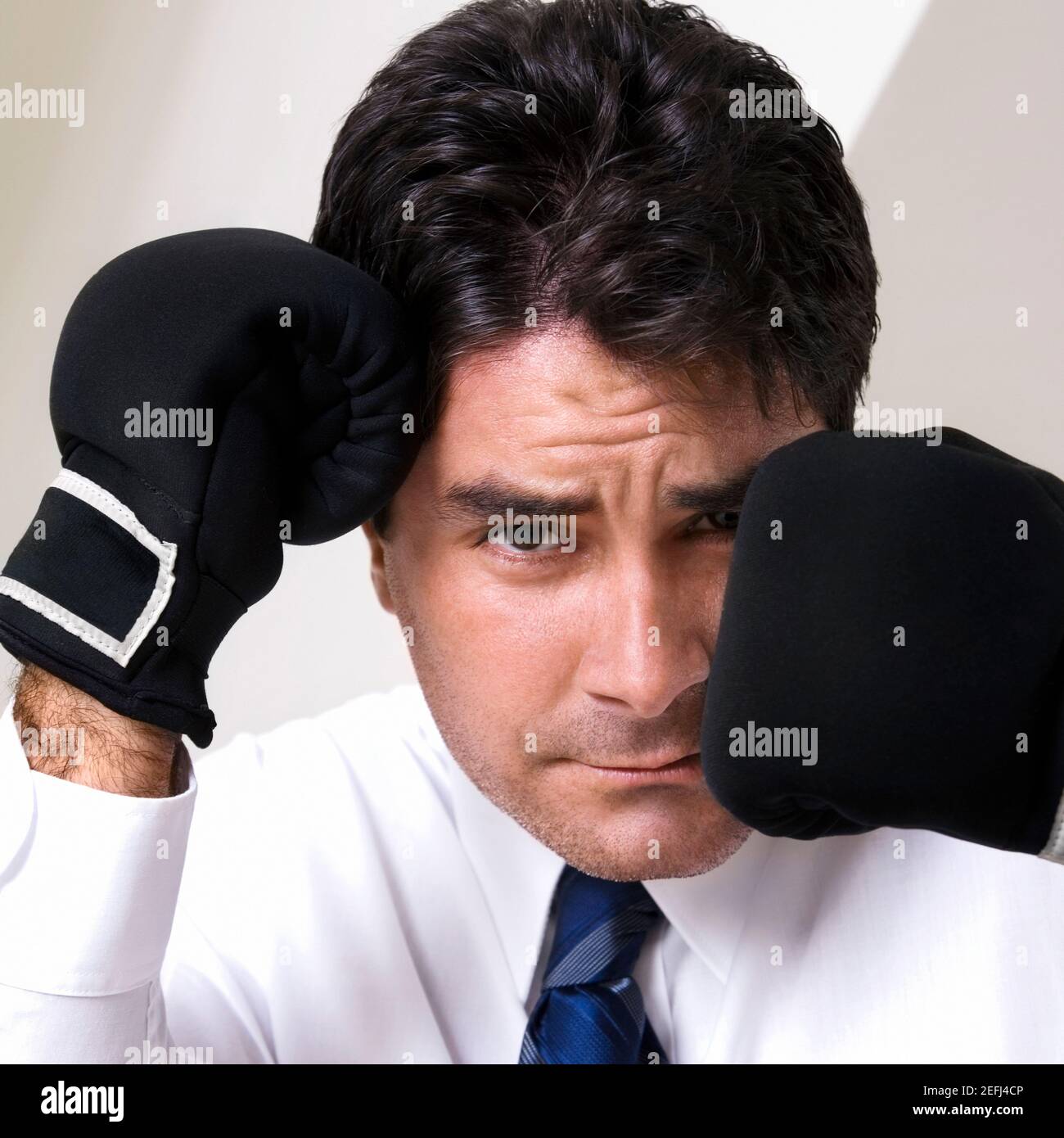 Porträt eines Geschäftsmannes tragen Boxhandschuhe Stockfoto