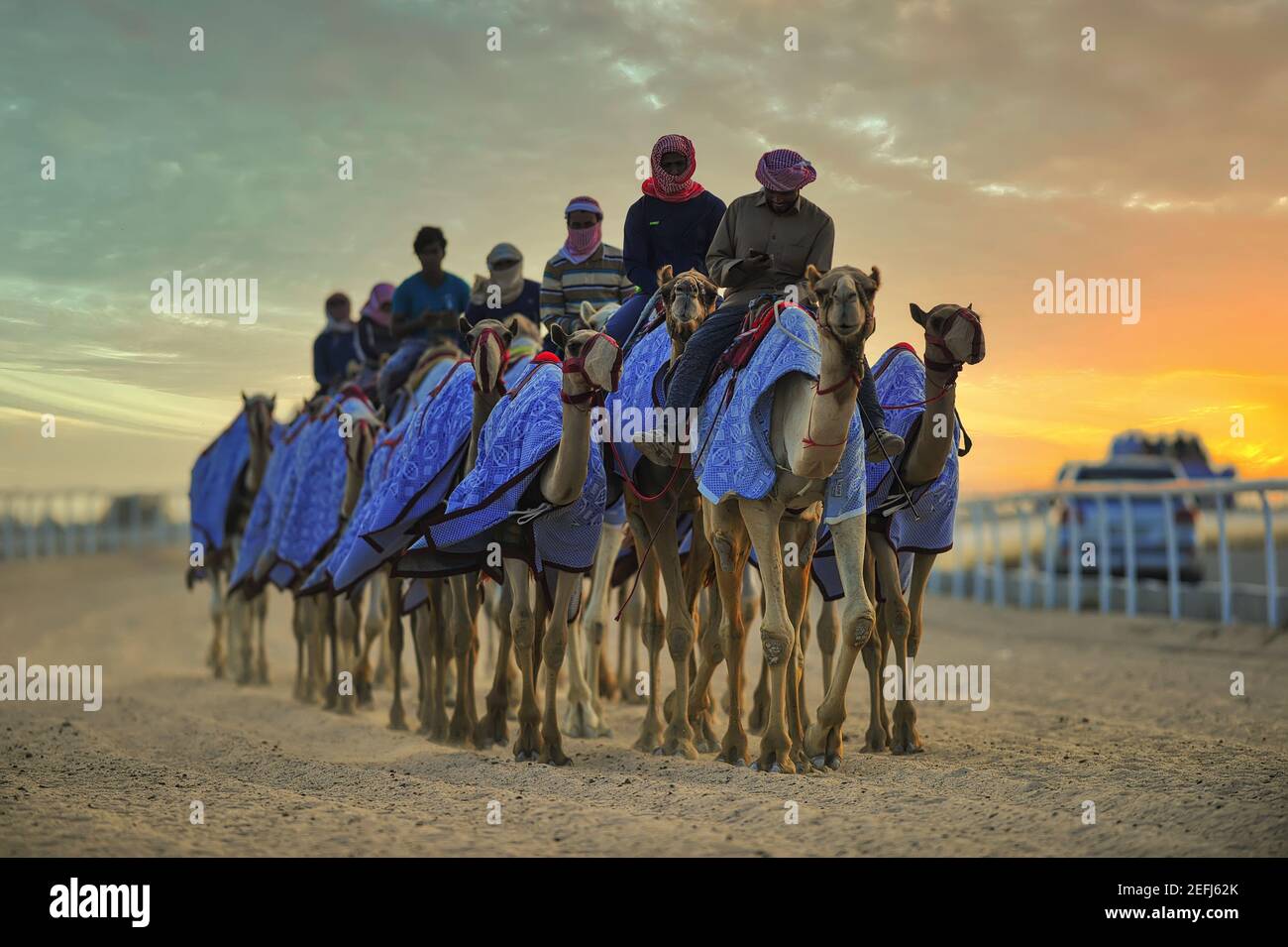 Kamelrennbahn Shahania Katar Stockfoto