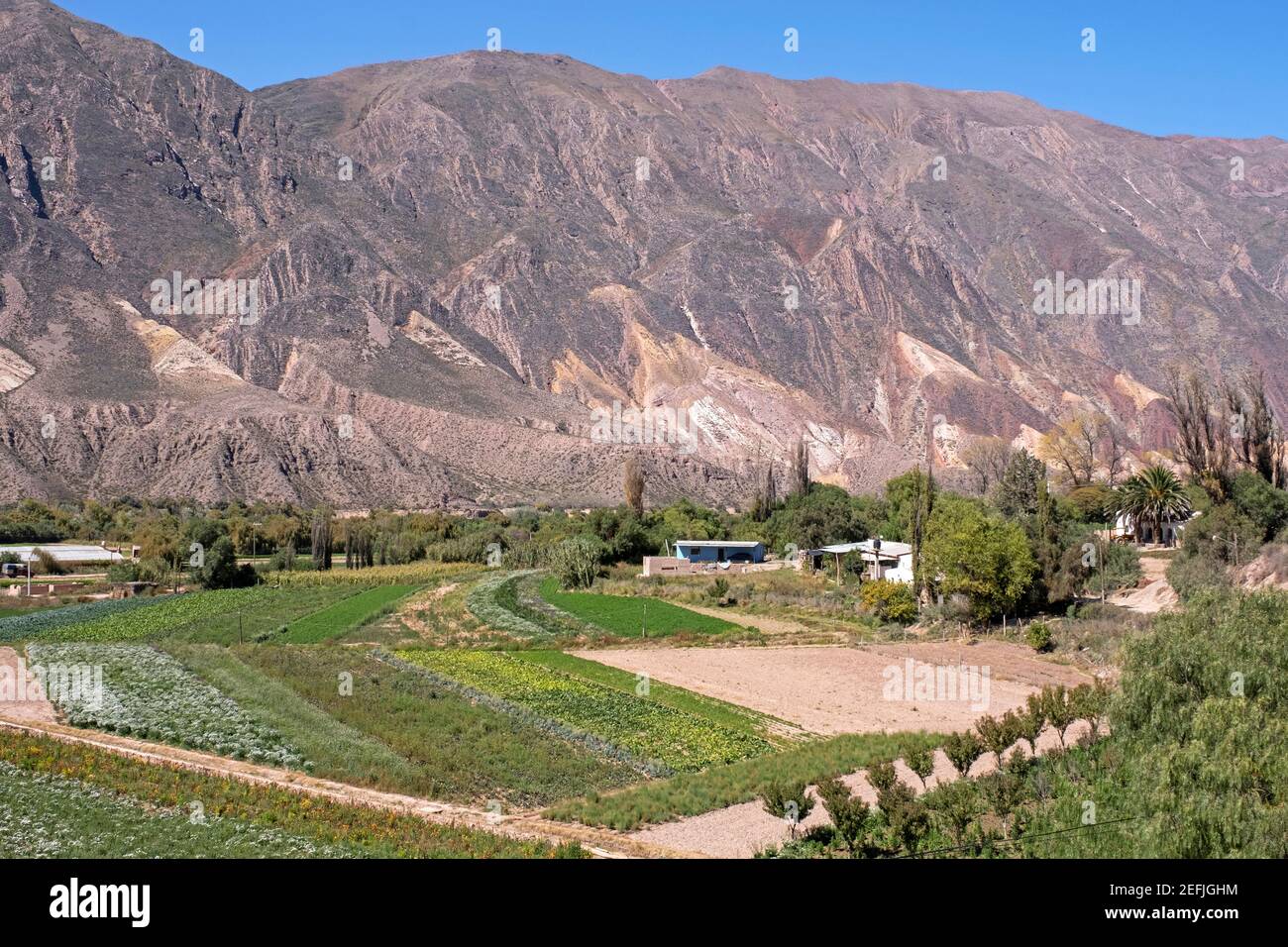 Bauernhof in der Nähe des Dorfes Maimará am Fuße des Berges Paleta del Pintor / Malerpalette in der Quebrada de Humahuaca, Provinz Jujuy, Argentinien Stockfoto