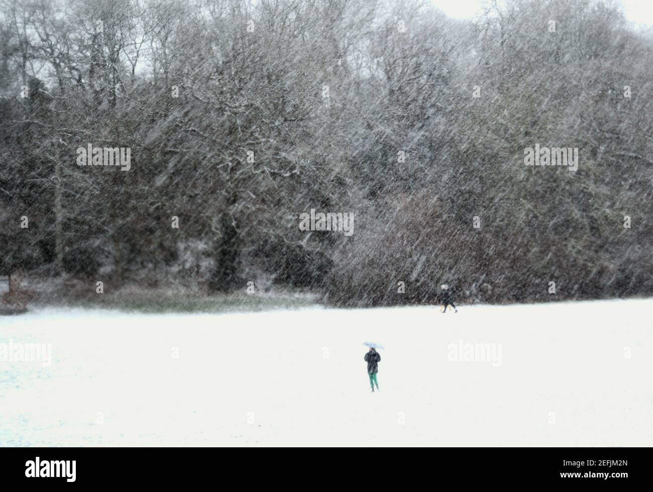 Öffentliche tapfere Winter Schneeschauer in Wäldern in South London England Stockfoto