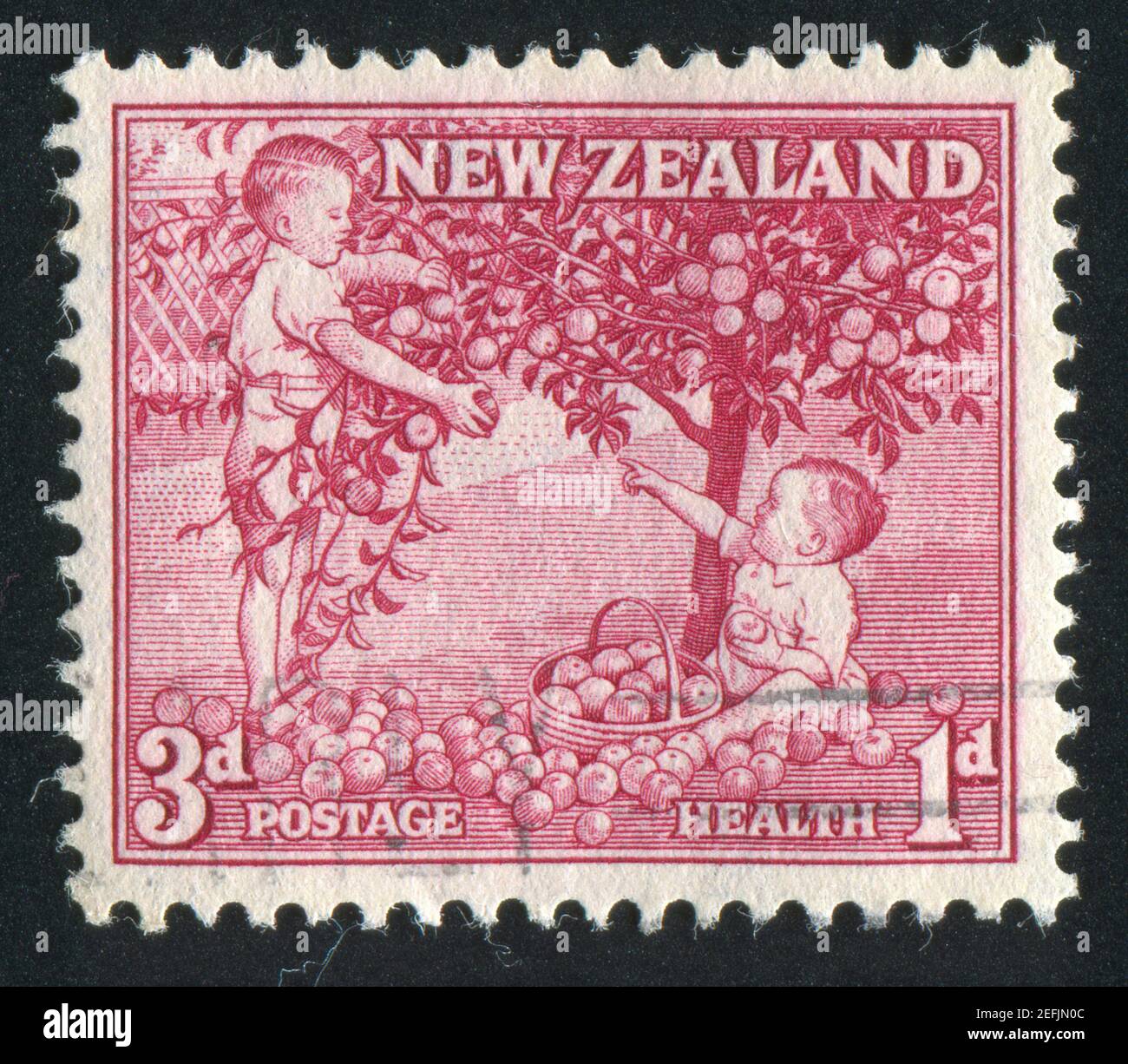 NEUSEELAND - UM 1956: Stempel gedruckt von Neuseeland, zeigt Kinder Äpfel pflücken, um 1956 Stockfoto