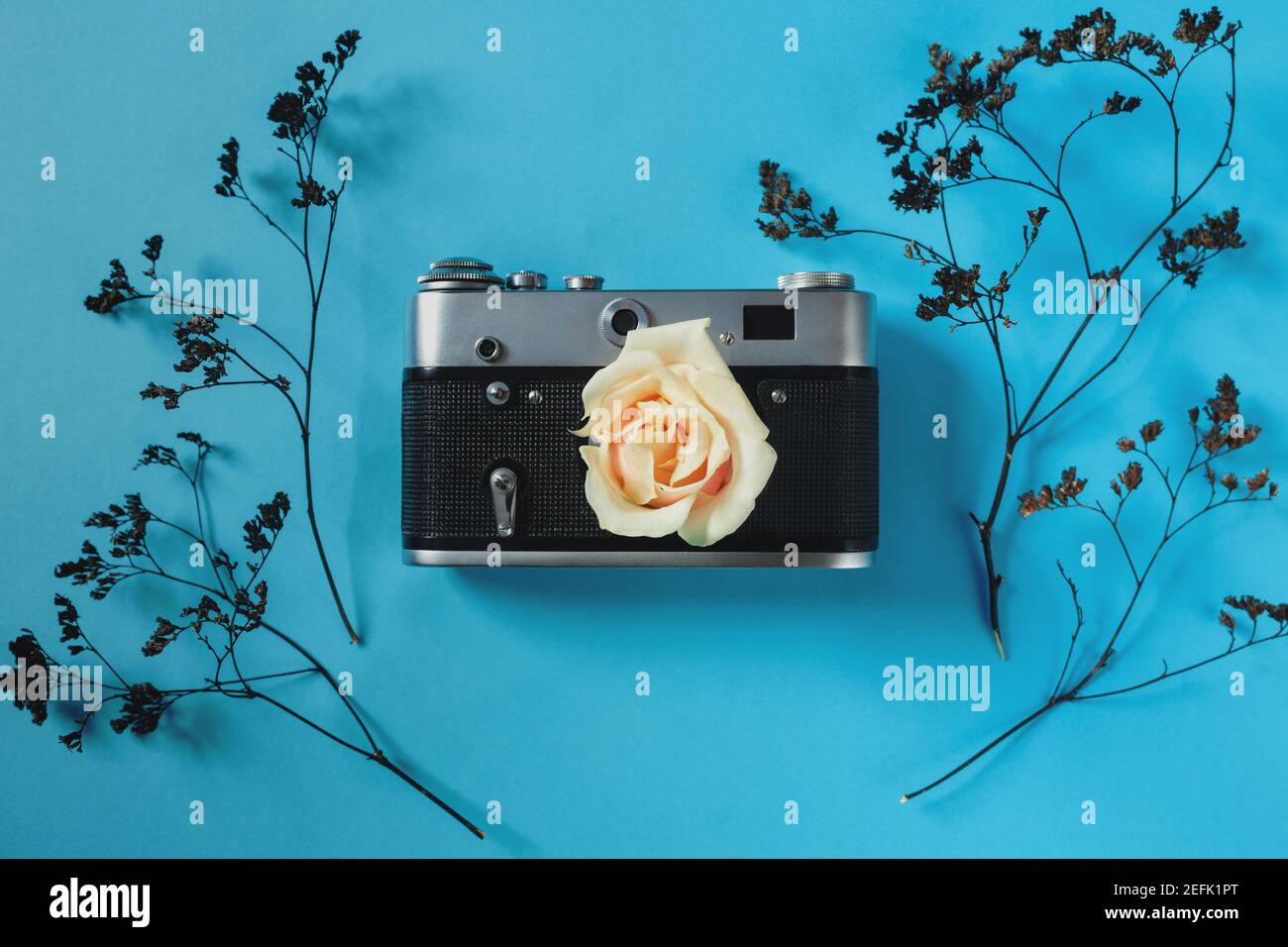 Unbeschriftet zum Dekorieren von Postkarten oder einem Geschenkgutschein für einen Fotografen. Alte Kamera auf einem rosa Hintergrund mit grauen getrockneten Blumen und Platz für Text Stockfoto