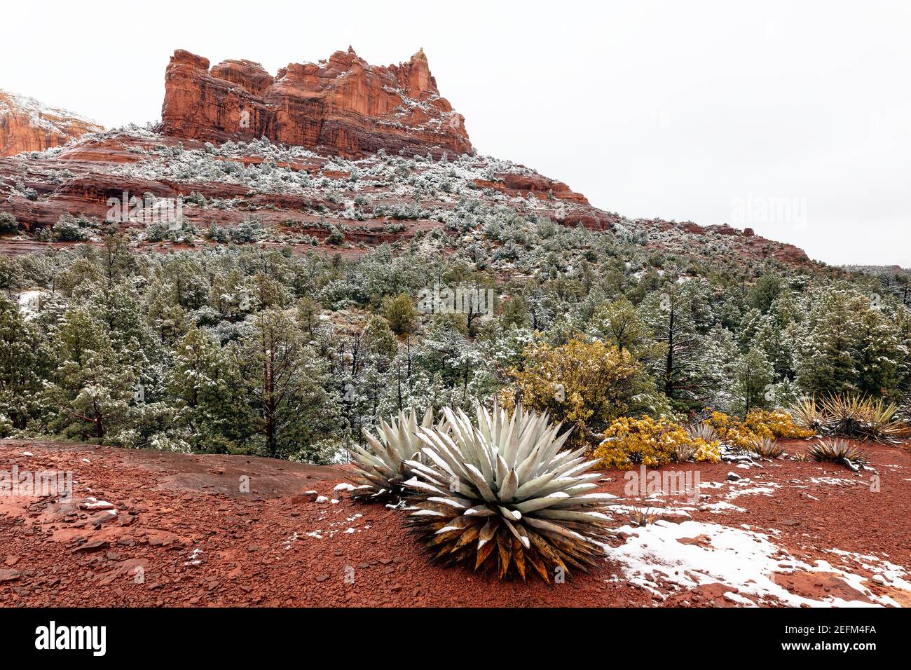 Malerische Wüstenlandschaft mit Schnee auf den roten Felsen in Sedona, Arizona Stockfoto