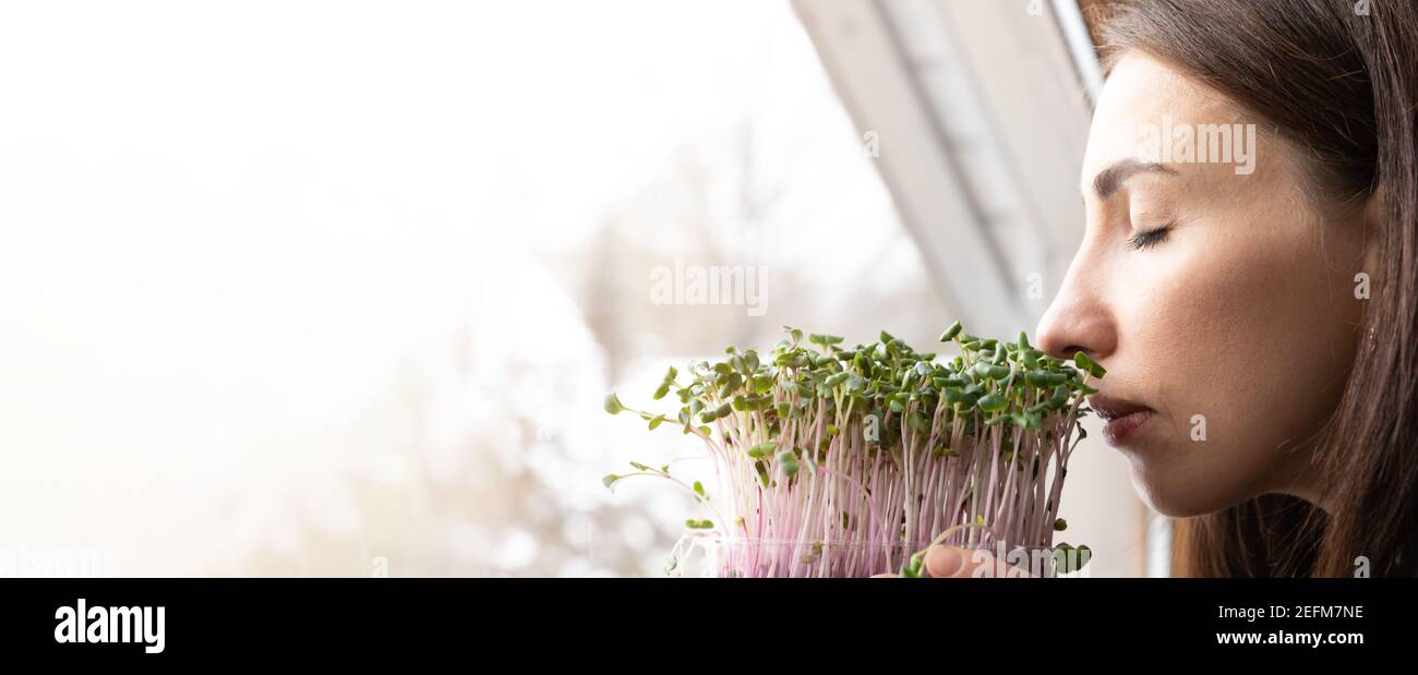 Frauen genießen frisch angebaute Mikrogrüns auf einem Schweller in der Nähe von sonnigen Fenster. Selbst angebaute gesunde Superfood Microgreens. Stockfoto