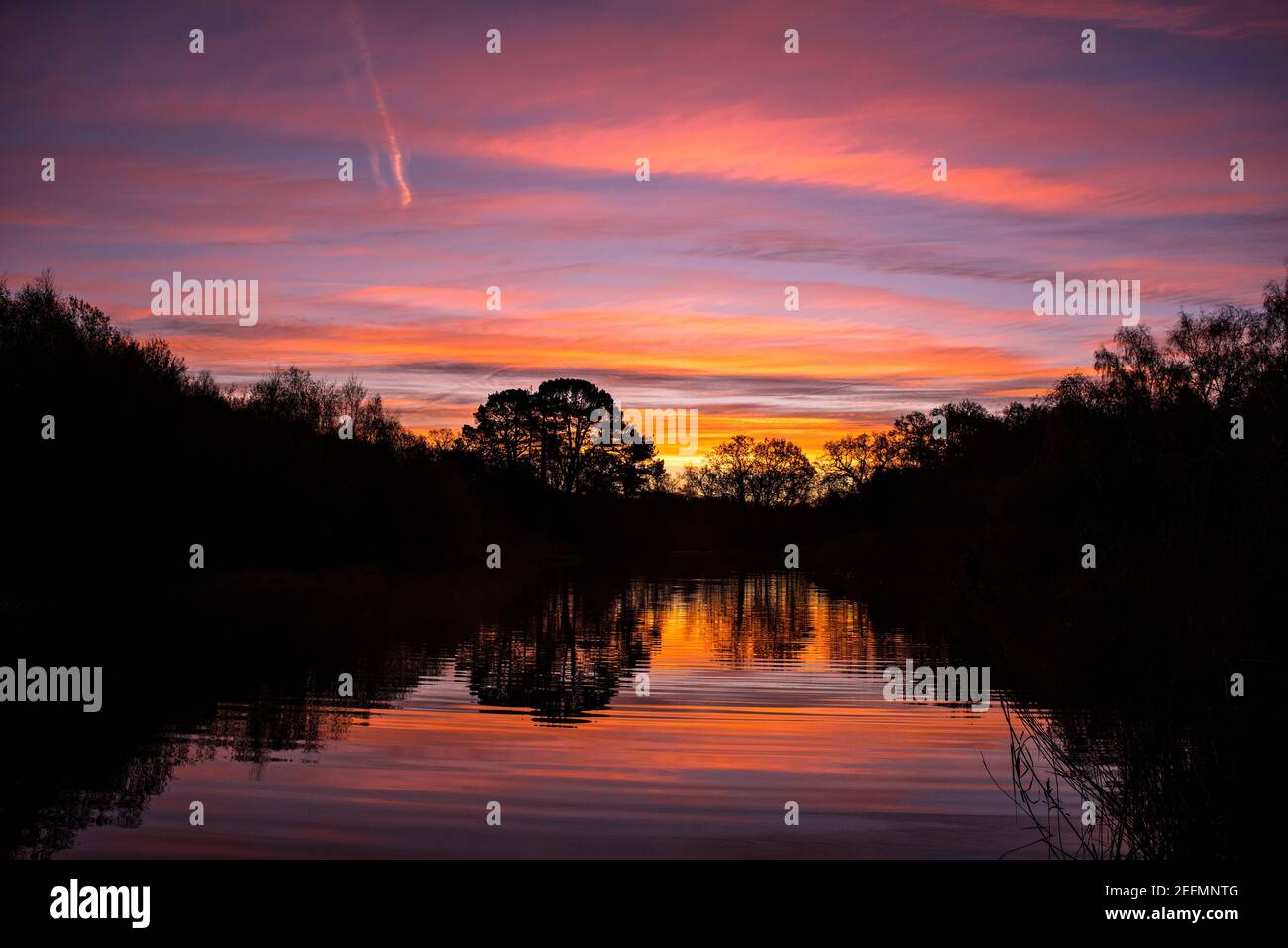 Sonnenaufgang über dem Ornamental Lake am Southampton Common im Winter. Southampton, England. Stockfoto