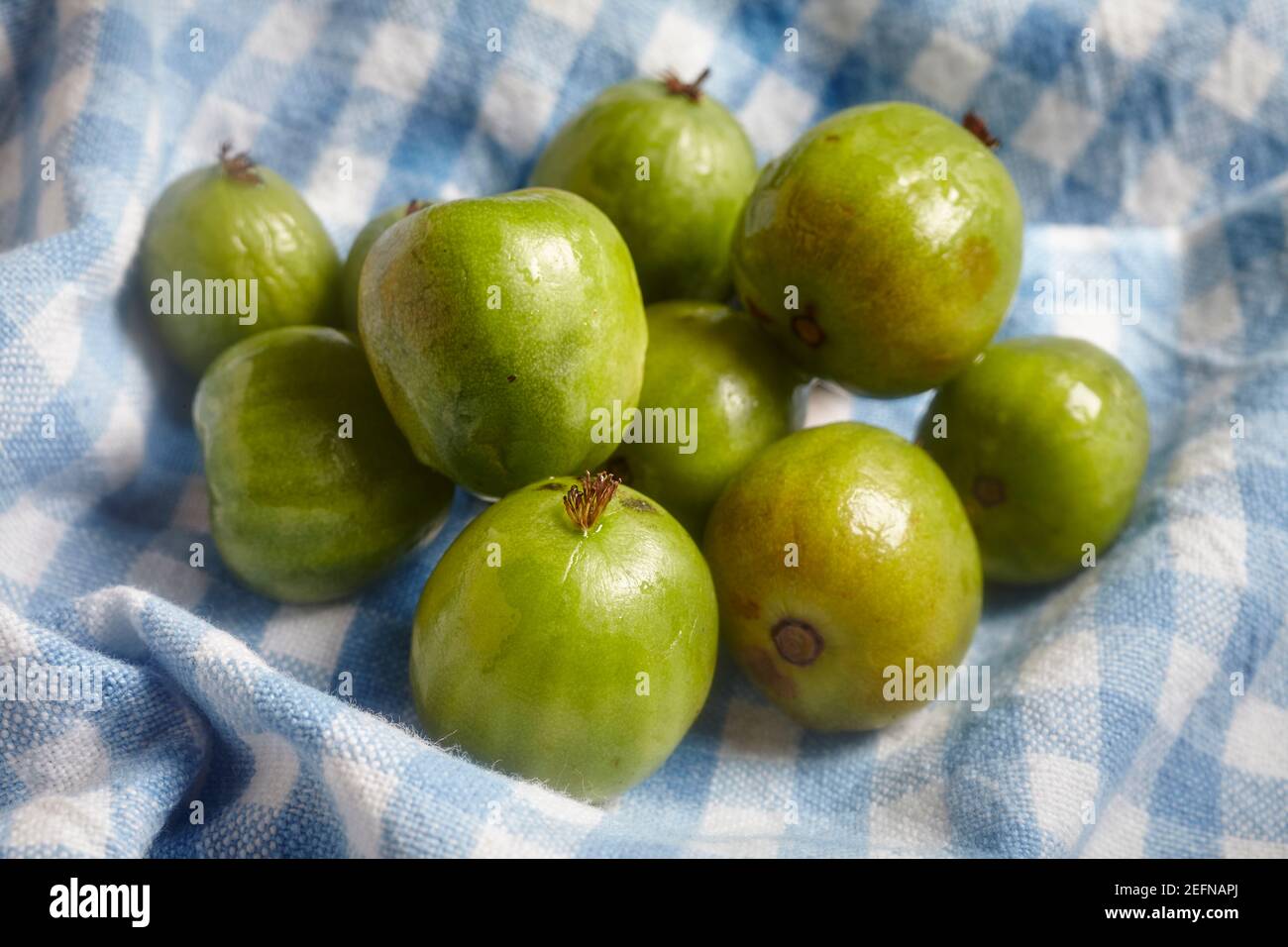 Baby Kiwi Frucht, auch sibirische Stachelbeeren genannt Stockfoto