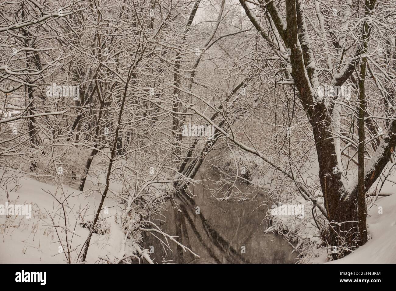 Ein kleiner Bach im Winter, Edison, New Jersey, USA Stockfoto