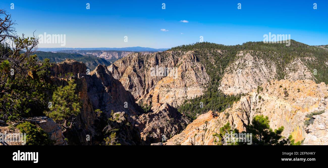 Blick von der Hells Backbone Road, in der Nähe von Escalante und Boulder, Garfield County, Utah, USA, an einem schönen Sommertag. Stockfoto