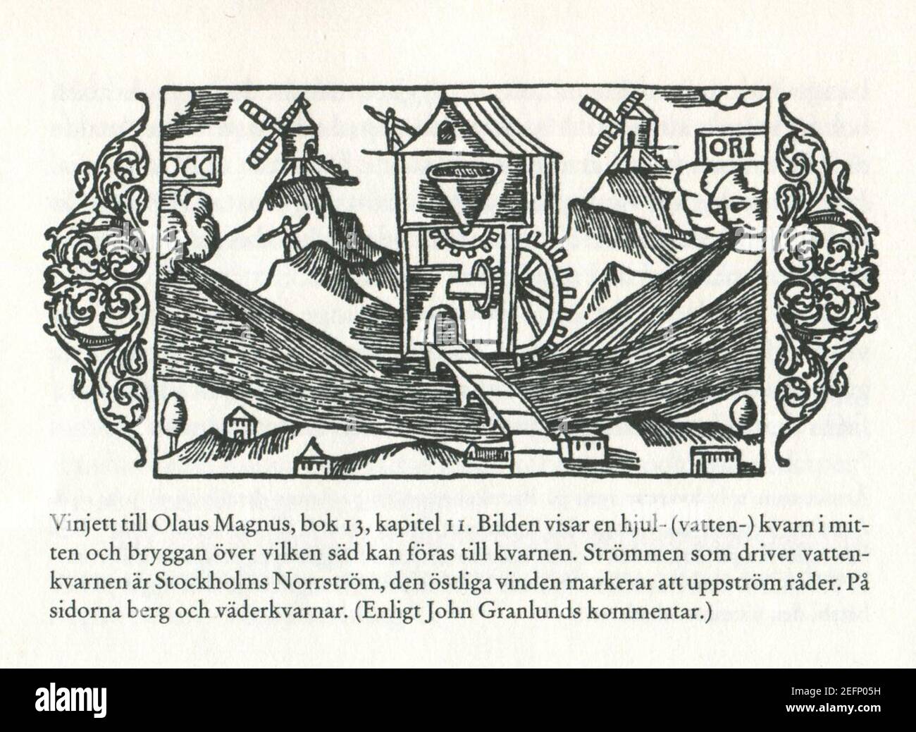 Olaus Magnus 1518. Stockfoto