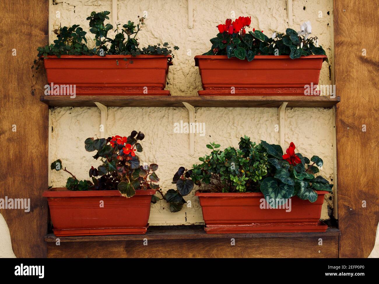Detail von Blumentöpfen mit buntem Hintergrund im Zentrum von Plaka, Athen (griechenland) Stockfoto