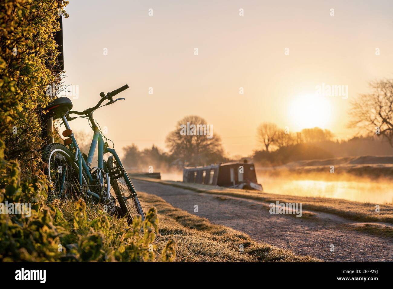 Kanalboot mit Mountainbike links gelehnt an Hecke Reihe Am frühen Morgen dämmert der Sonnenaufgang mit goldenem Licht am Himmel Der Fluss Trent und Nebel steigt Stockfoto