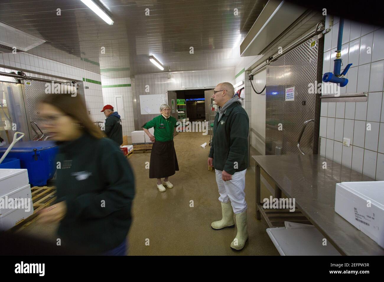 Fischhändler, die in einem Großhandelslager der Hansestadt Bremen arbeiten. Stockfoto