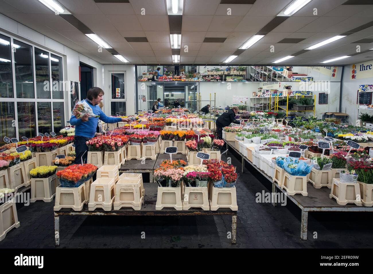 Markt für Blumen und Pflanzen in Bremen, Deutschland Stockfoto