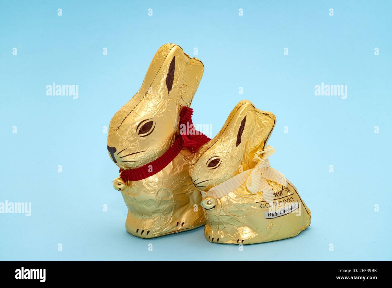 London, UK - 15. Februar 2021: Zwei Lindt Gold Osterhasen mit ihren goldenen Glocken auf hellblauem Hintergrund. Die eine ist Milchschokolade und die andere Stockfoto