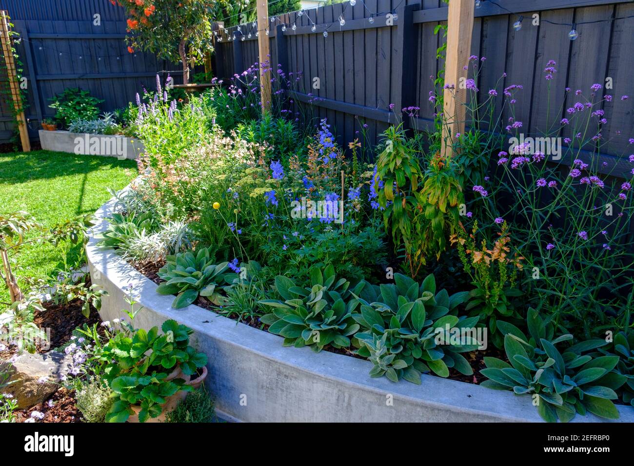 Ein moderner Garten im Garten in Melbourne, Australien Stockfoto
