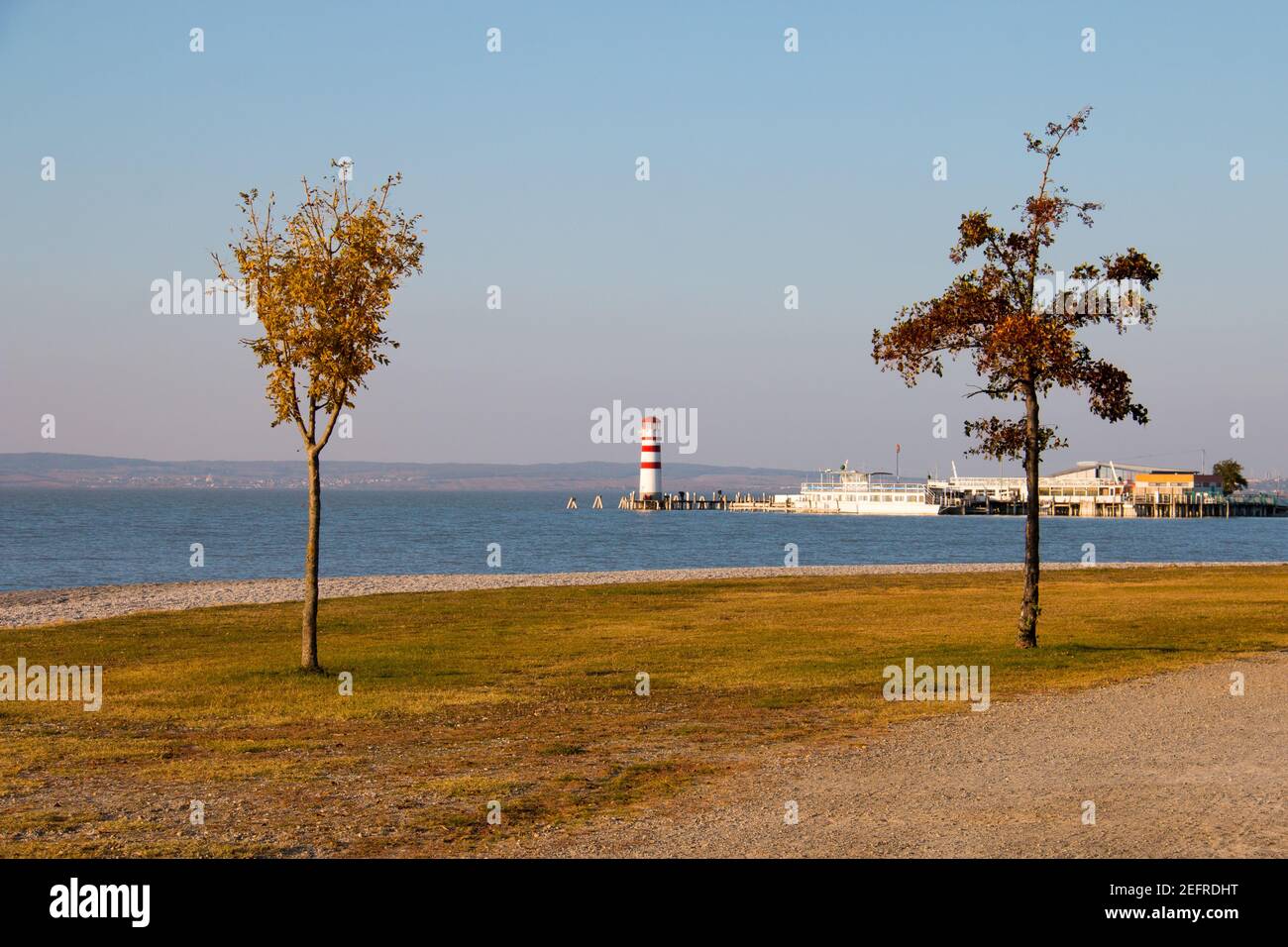 Zwei Bäume mit Herbstlaub an der Küste und Landschaft mit See und Leuchtturm in der Ferne, Podersdorf am See, Stadt in Österreich, Neusiedler See Stockfoto
