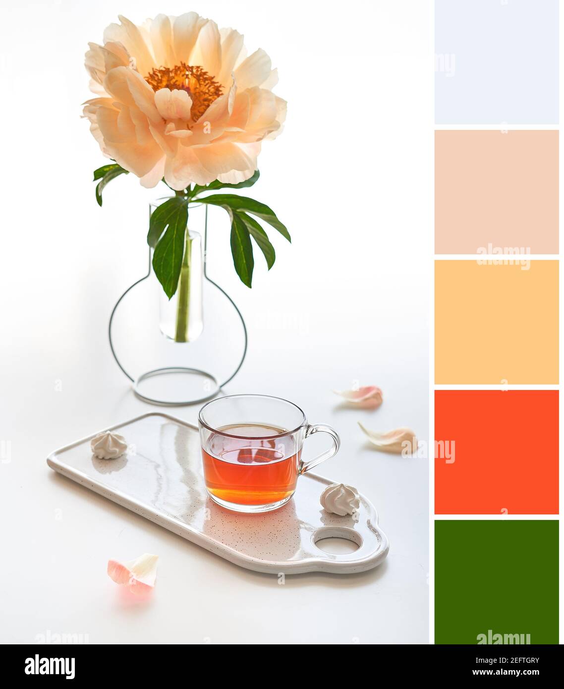 Farblich passende Palette aus Bild von Tee und weißen Marshmallows auf Keramik-Tablett. Einzelne Pfingstrose Blume in trendigen modernen Glasvase auf weißem Tisch. Beige Stockfoto