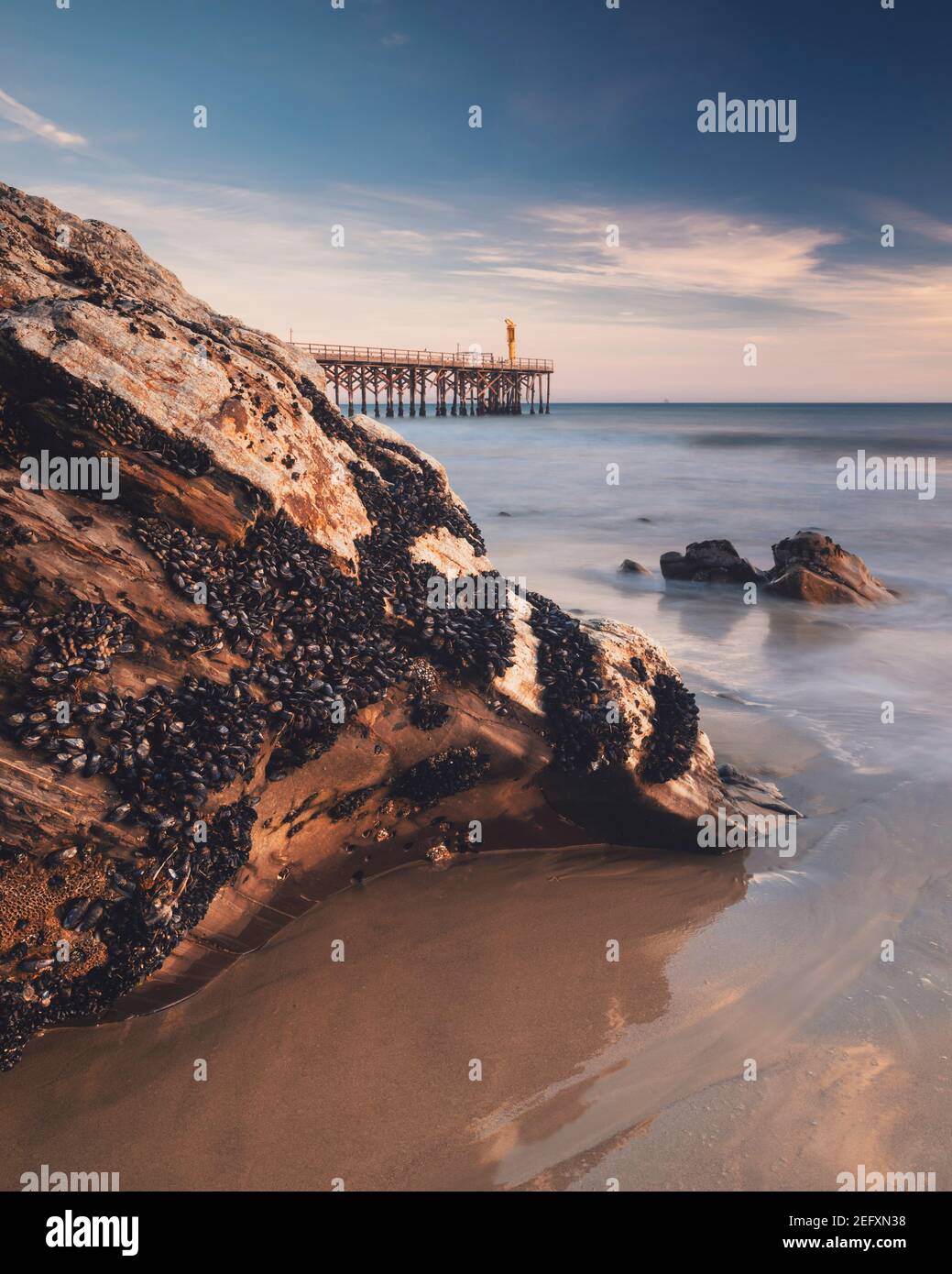 California Beach Stockfoto