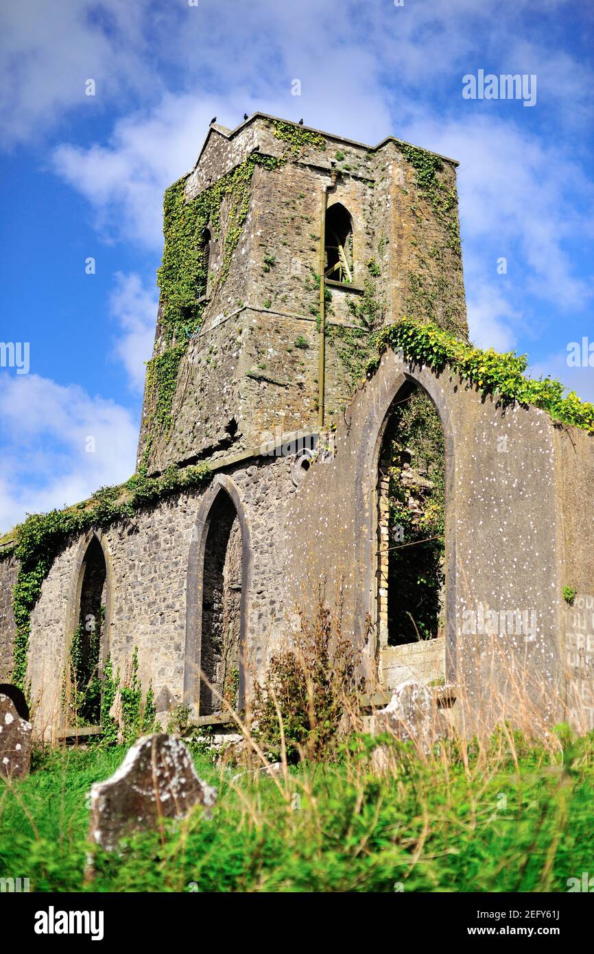 Delvin, County Westmeath, Irland. Ein Turm und Bogenfenster zusammen mit einem überwucherten Kirchenhof bilden die Ruinen der St. Mary's Church. Stockfoto