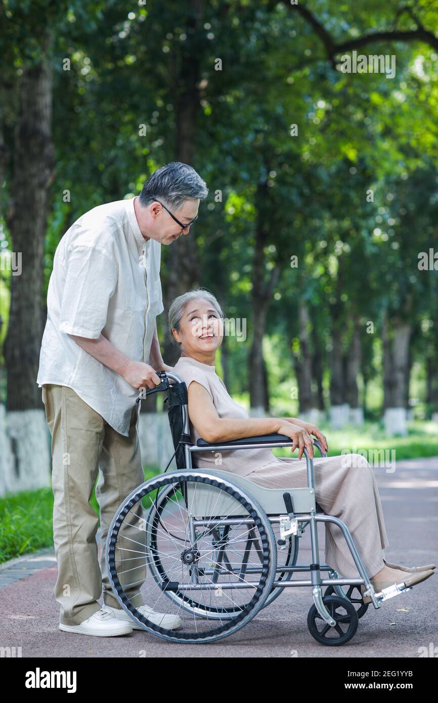 Der alte Mann schiebt seine Frau im Rollstuhl hinein Der Park Stockfoto