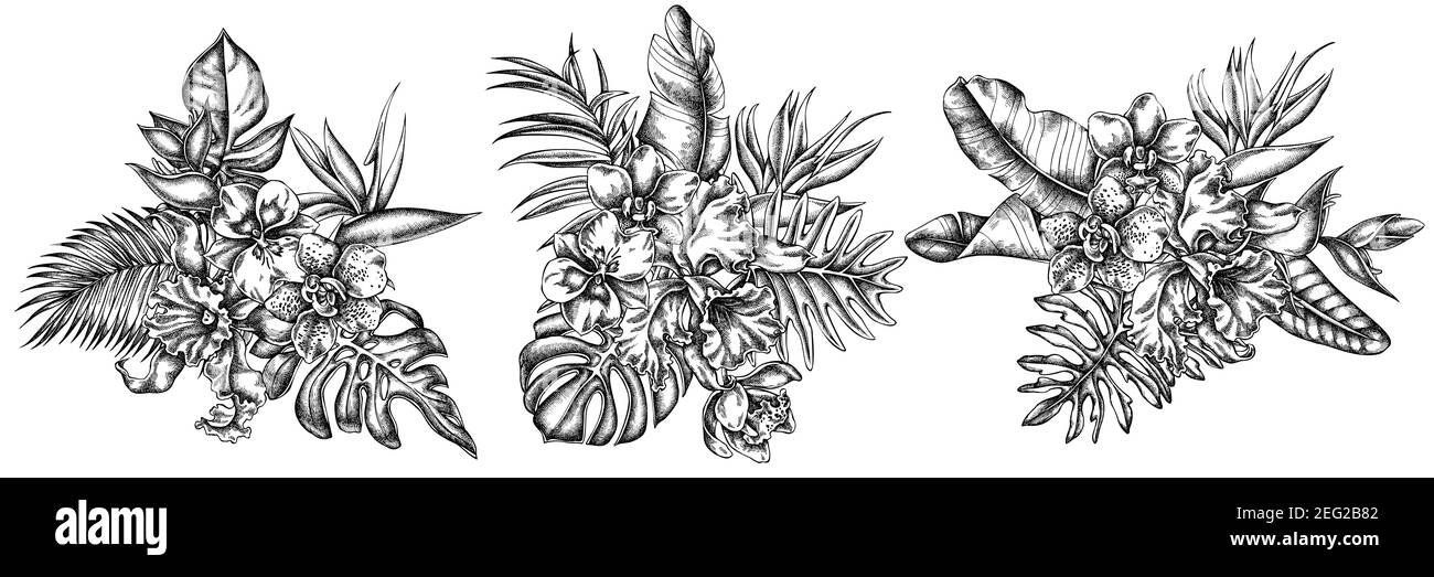 Blumenstrauß von schwarzen und weißen Monstera, Bananenpalmenblätter, strelitzia, Heliconia, tropische Palmenblätter, Orchidee Stock Vektor