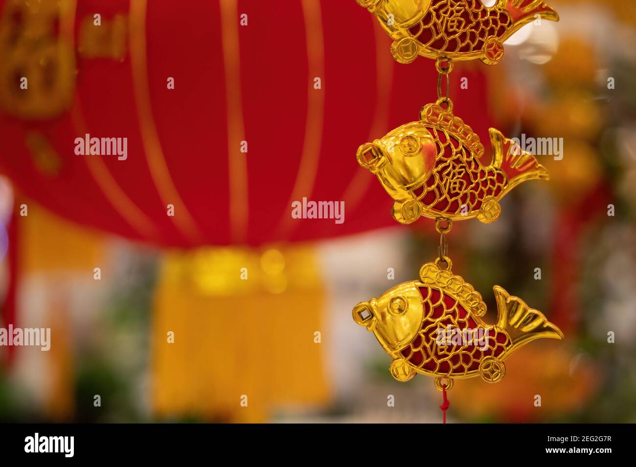 Goldene Fischverzierungen, die zum Neujahrsfest hängen, symbolisieren Fülle und Wohlstand, mit roten Laternen in einem festlichen Einzelhandelsdisplay Stockfoto
