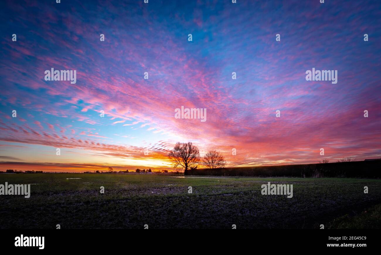 Spektakulärer Wintersonnenaufgang über flachem Ackerland Stockfoto
