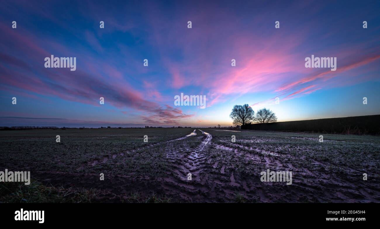 Spektakulärer Wintersonnenaufgang über flachem Ackerland Stockfoto