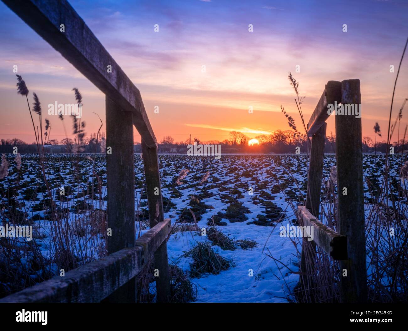 Spektakulärer Wintersonnenaufgang über flachem Ackerland Stockfoto