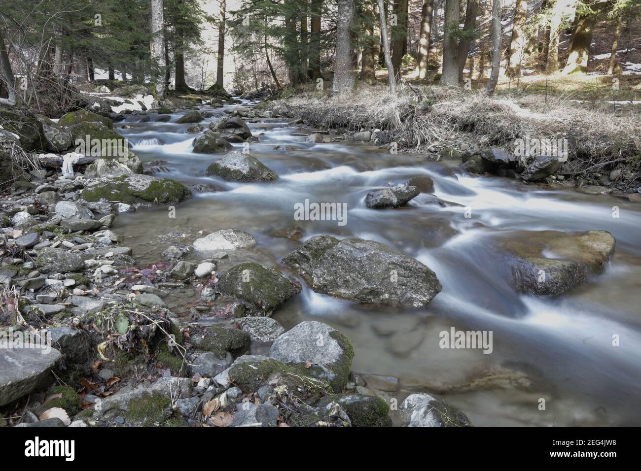 Artikeldetails mit dem klaren Wasser eines fliessenden Gebirgsbaches Während eines kalten und sonnigen Wintertages in der rumänischen Karpaten (lange Belichtungszeit) Stockfoto