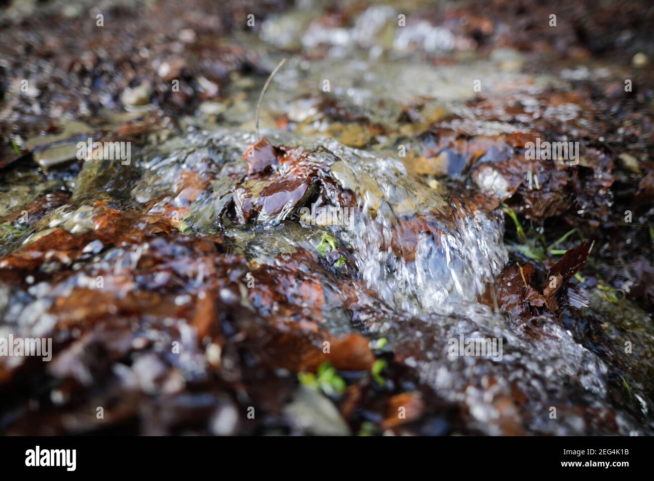 Artikeldetails mit dem klaren Wasser eines fliessenden Gebirgsbaches während eines kalten und sonnigen Wintertages in den rumänischen Karpaten. Stockfoto
