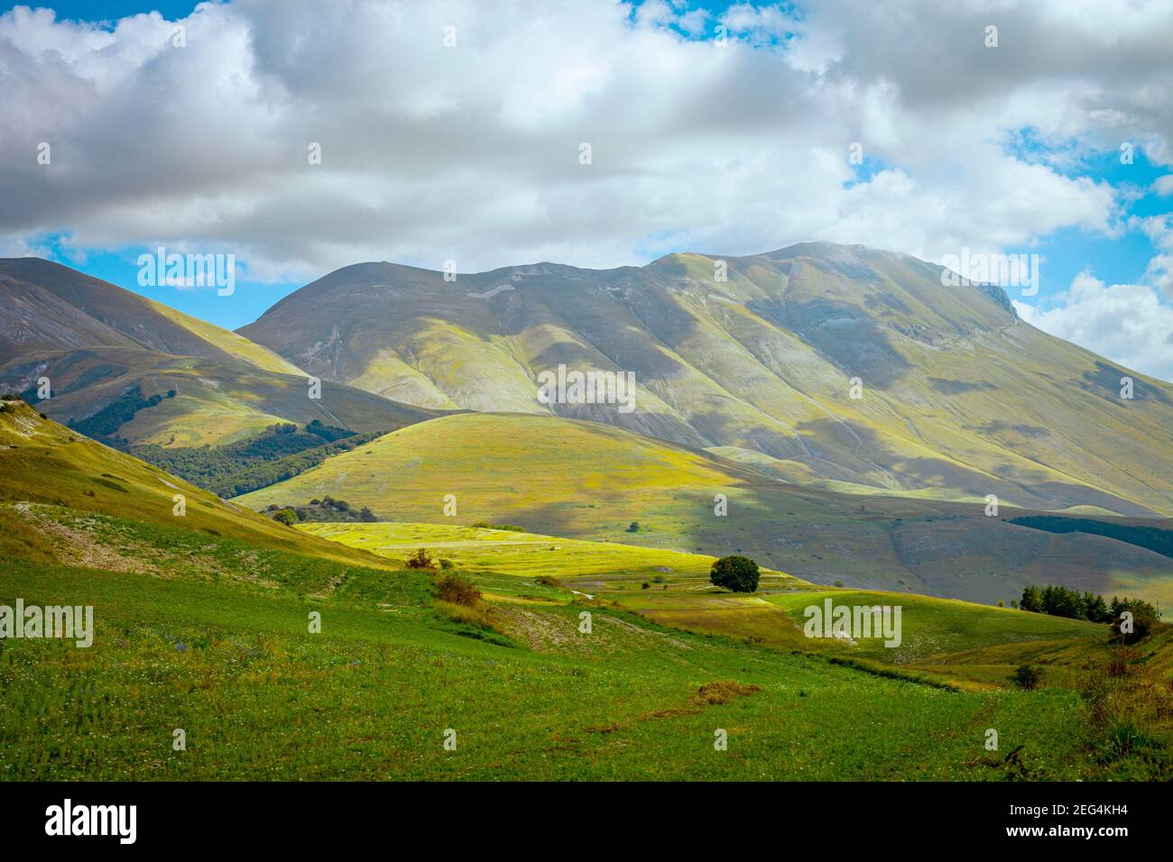 Nationalpark der Sibillini Berge. Felder in Castelluccio di Norcia, Umbrien, Italien. Stockfoto