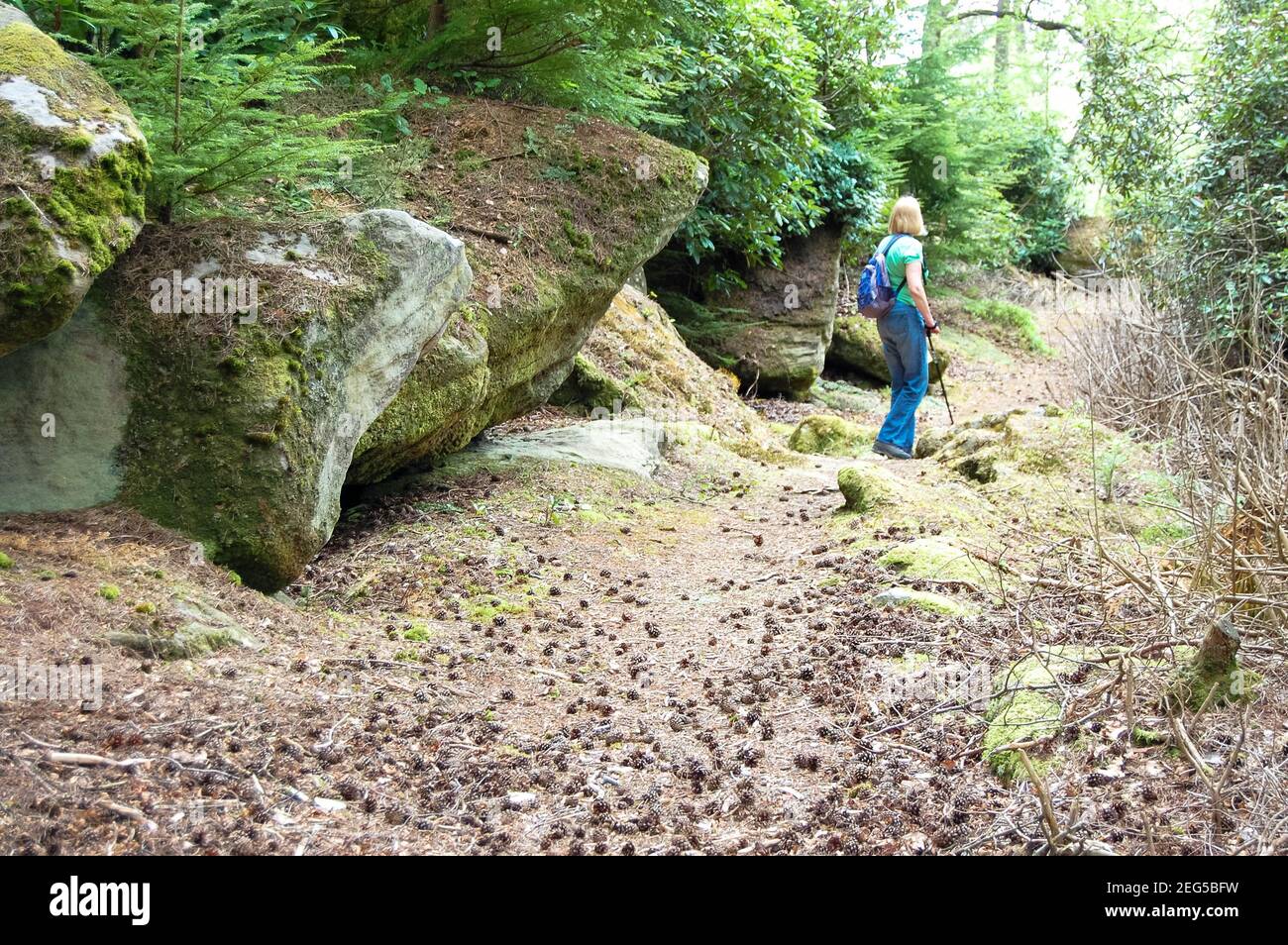 Cragside Northumberland, britische Frau mit langen blonden Haaren, Wandern mit Stock im Wald mit großen Felsen und Felsbrocken Rucksack, blaue Jeans, Felsbrocken Stockfoto