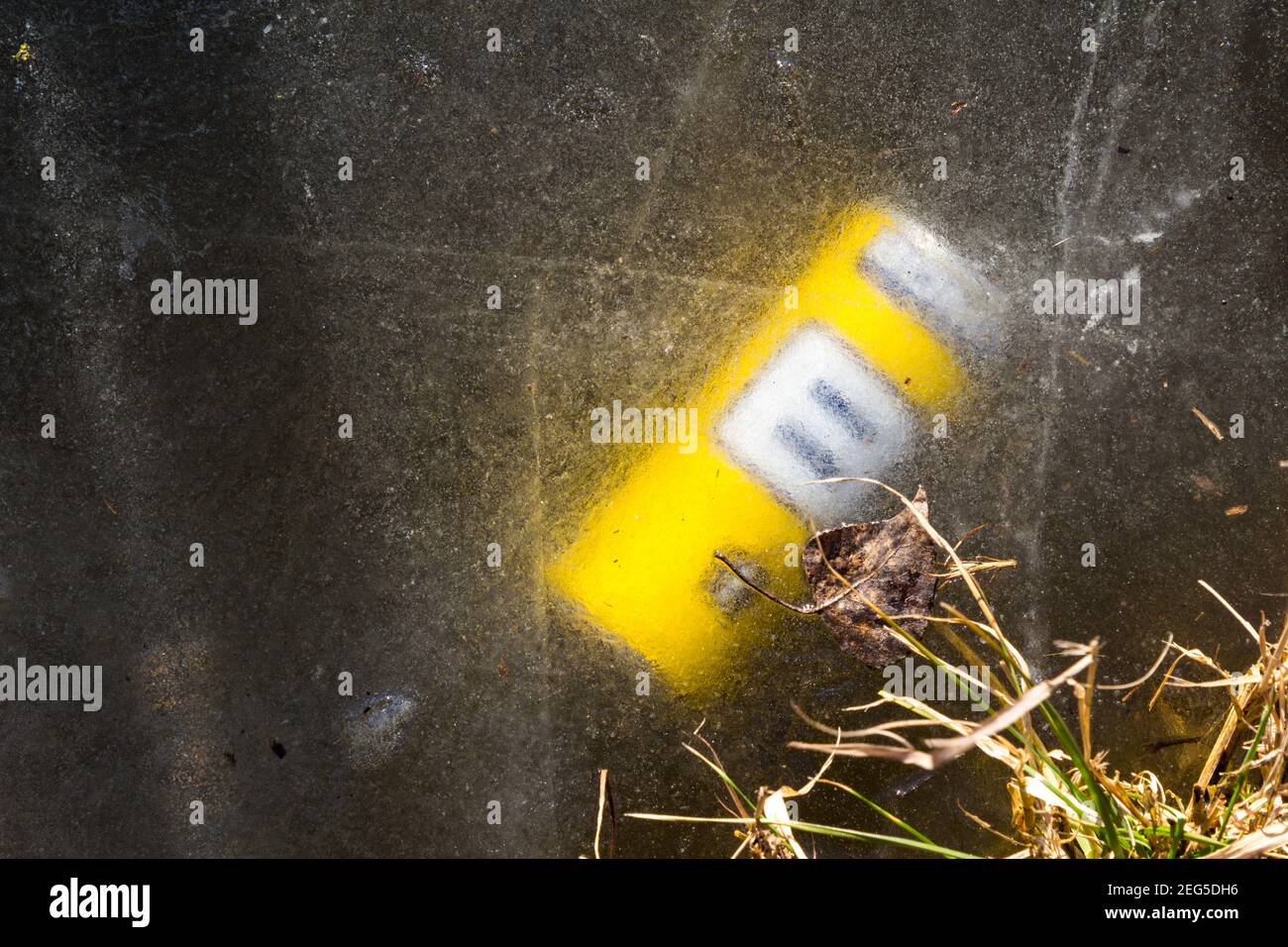 Bomba! Energy Drink kann im Eis des Teiches Ibolya-to, Sopron, Ungarn eingefroren Stockfoto