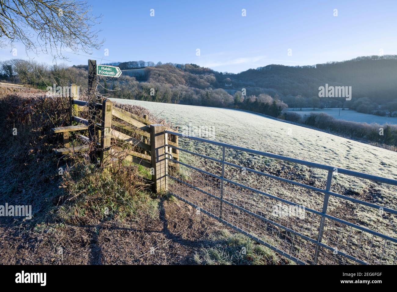 Winterfrost auf dem Land bei Bampton im exe Valley, Devon, England. Stockfoto