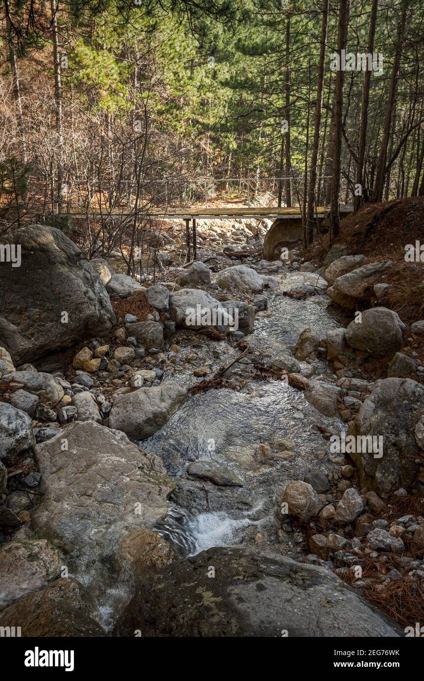 Bergfluss in einem Pinienwald. Ein sonniger Tag im Wald. Ein Strom des reinsten Wassers in einem Bergbach. Vertikale Komposition, der Blick durch Stockfoto