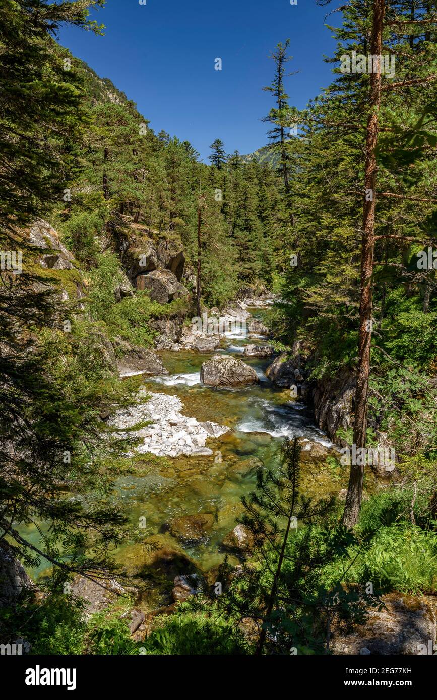 Pont d'Espagne im Sommer (Cauterets, Nationalpark der Pyrenäen, Frankreich) ESP: Pont d'Espagne en verano (Cauterets, Parque Nacional de los Pirineos) Stockfoto