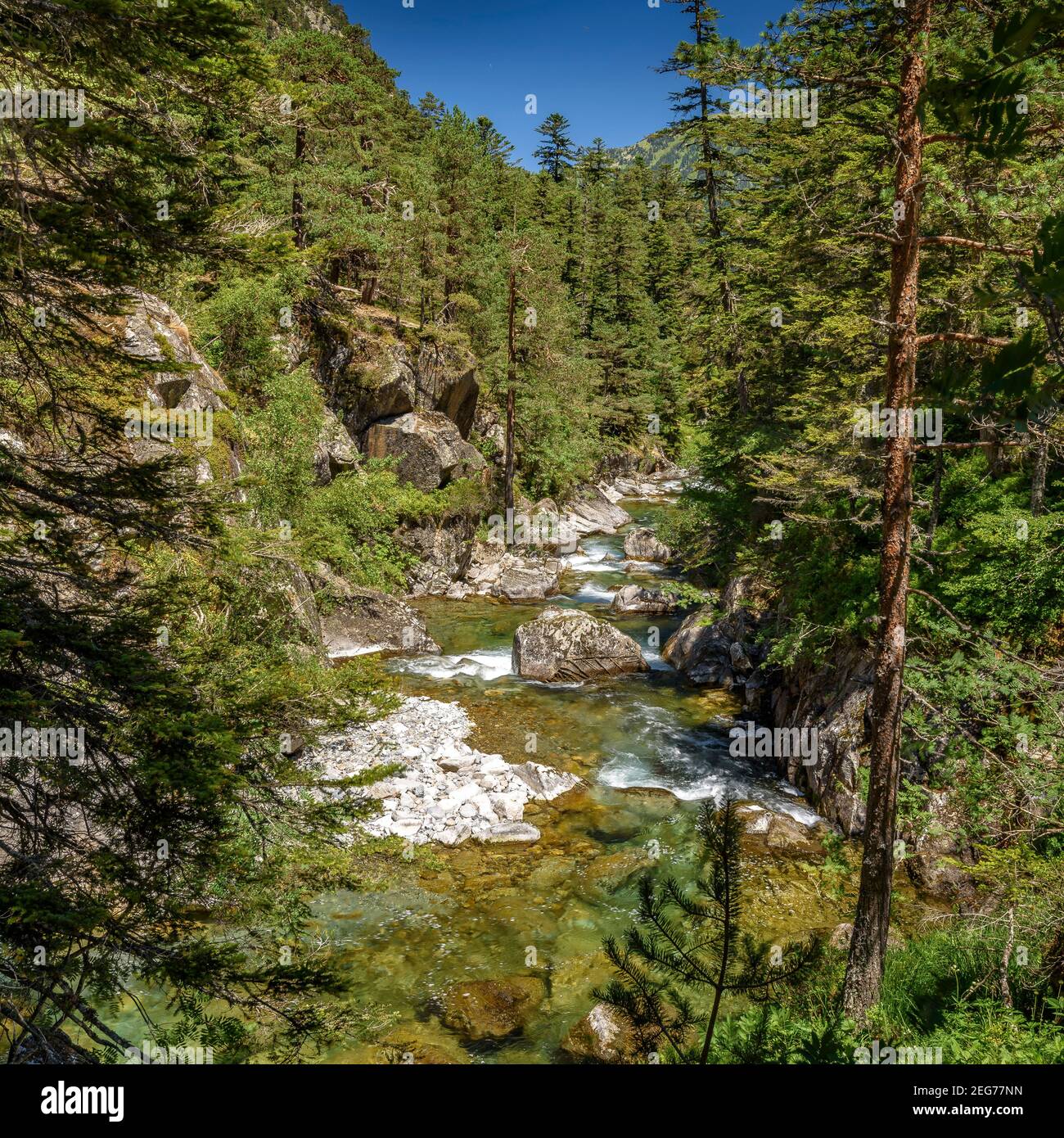 Pont d'Espagne im Sommer (Cauterets, Nationalpark der Pyrenäen, Frankreich) ESP: Pont d'Espagne en verano (Cauterets, Parque Nacional de los Pirineos) Stockfoto
