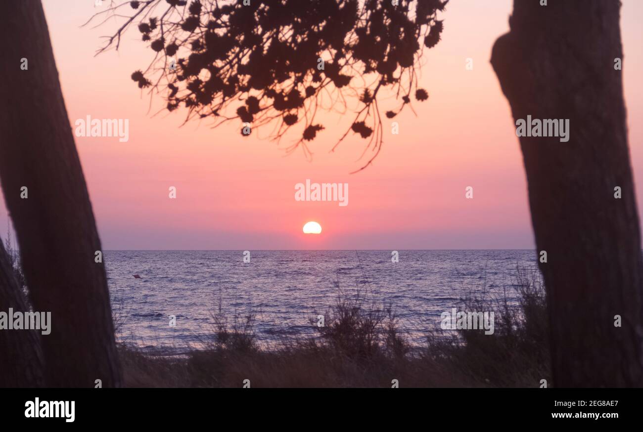 Sonnenuntergang am Meer mit Kiefern, Apulien (Italien). Stockfoto