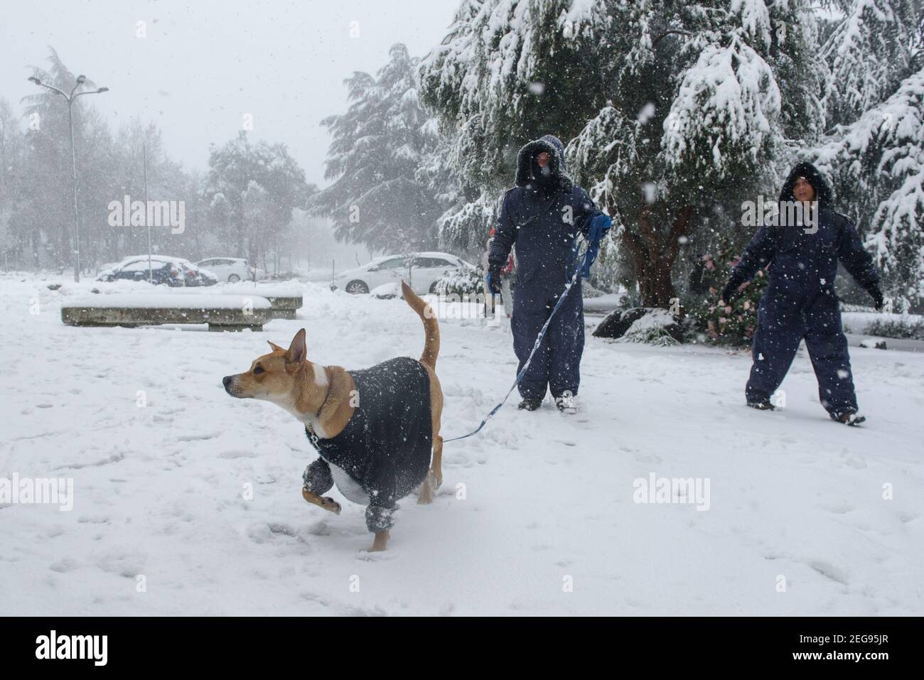 Golan Heights, 18 2021. Februar: Menschen gehen im Schnee auf den Golan Heights, 17. Februar 2021. (Ayal Margolin/JINI via Xinhua) Quelle: Xinhua/Alamy Live News Stockfoto