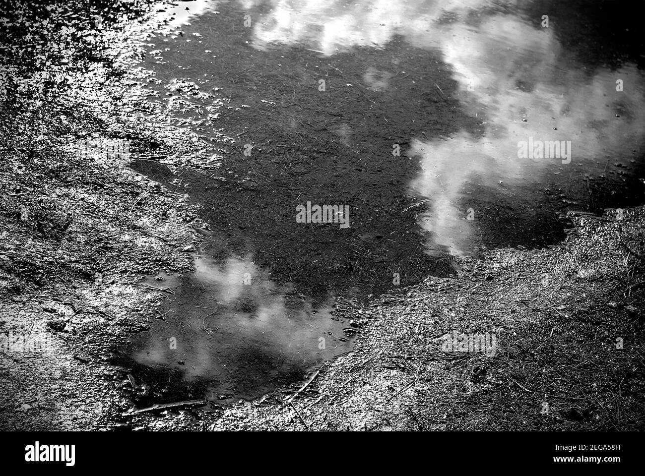 Schwarz-Weiß-Bild einer Pfütze mit gespiegelten verschwommenem Himmel. Stockfoto
