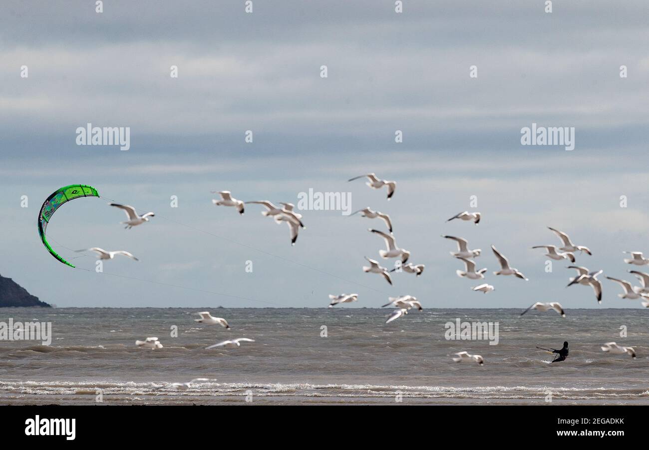 Möwen fliegen, da ein Kitesurfer am Dollymount Strand in Dublin die besten Bedingungen erfüllt, da Met Eireann eine Reihe von Statusgelben Wetterwarnungen für heute und morgen herausgegeben hat. Bilddatum: Donnerstag, 18. Februar 2021. Stockfoto