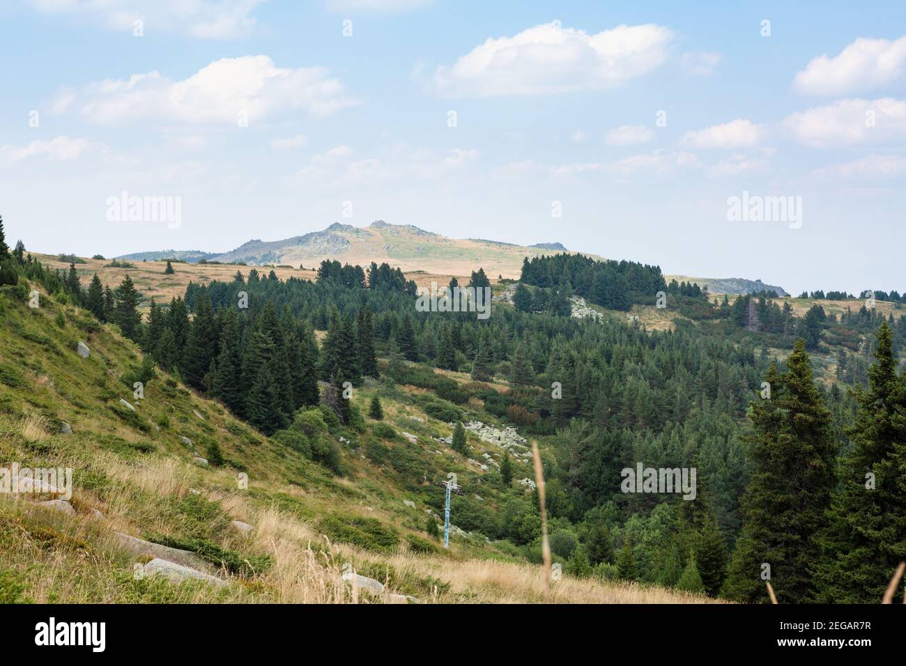 Vitosha Berg, Sofia, Bulgarien Stockfoto