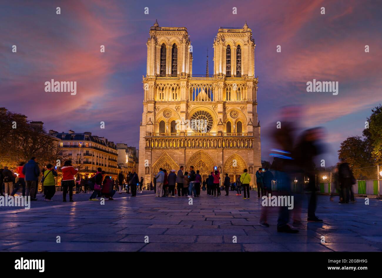 Parvis mit Touristen, und die Fassade der Kathedrale Notre Dame de Paris beleuchtet in der Nacht, in Paris, in Ile de France, in Frankreich Stockfoto