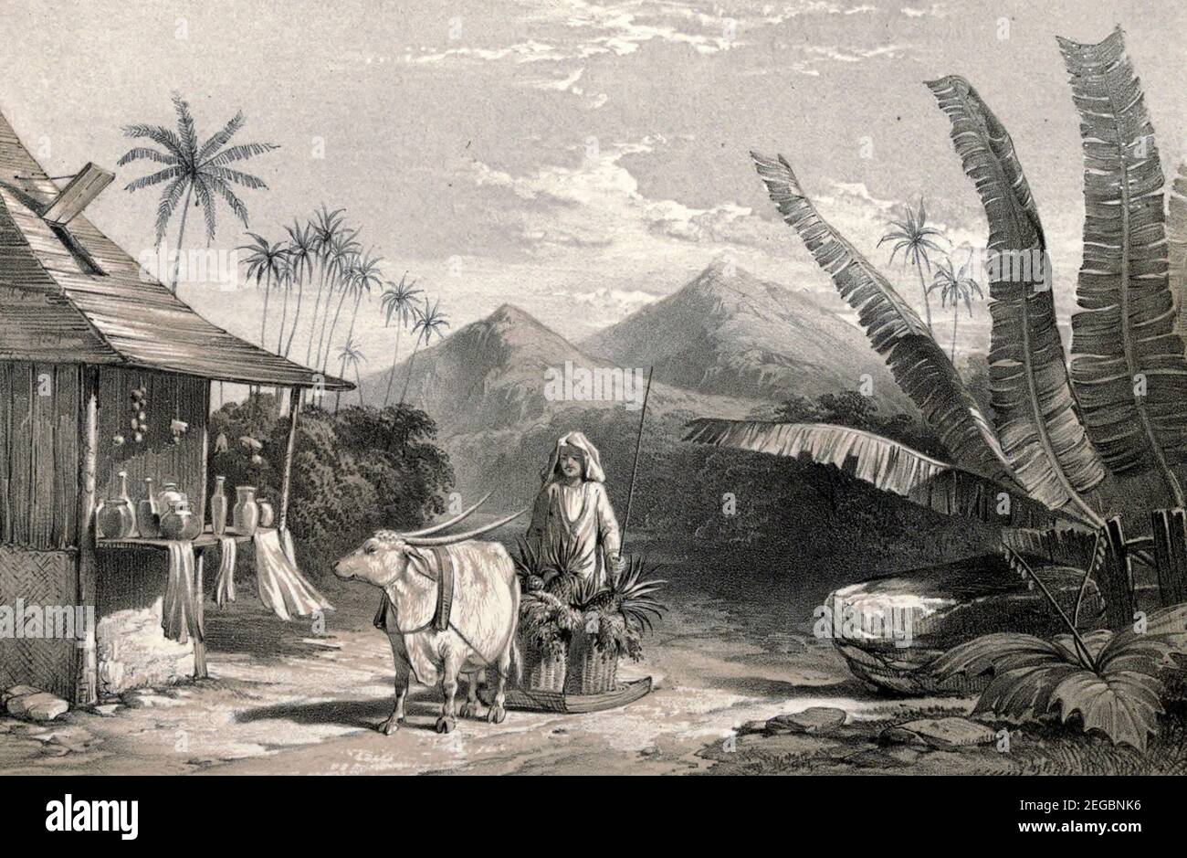 Blick in Samboangan, Mindanao, um 1850 Stockfoto