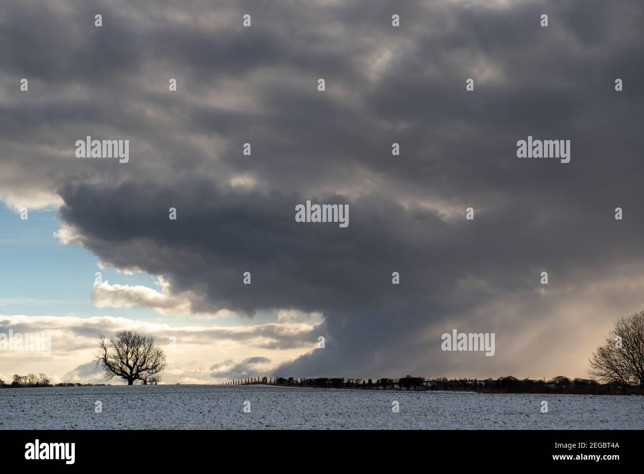 Dramatische graue Duschwolken mit blauem Himmel und Sonnenstrahlen Und zeigt Schnee fallen auf schneebedeckten Feldern Stockfoto