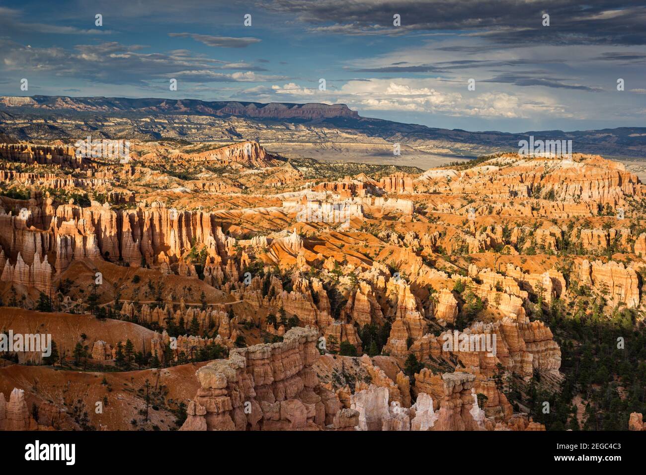 Bryce Canyon National Park, Hoodoos orange Felsformationen. Utah, USA Stockfoto