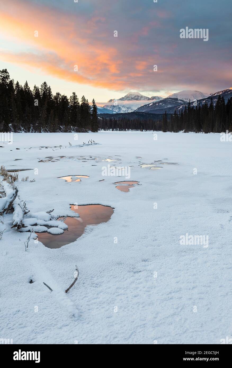 Heiße Quelle am Lac Beauvert, Jasper National Park Stockfoto